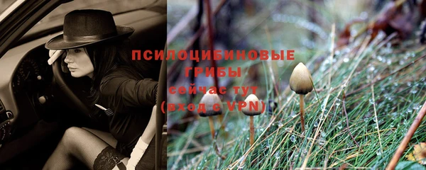 прущие крисы Абинск
